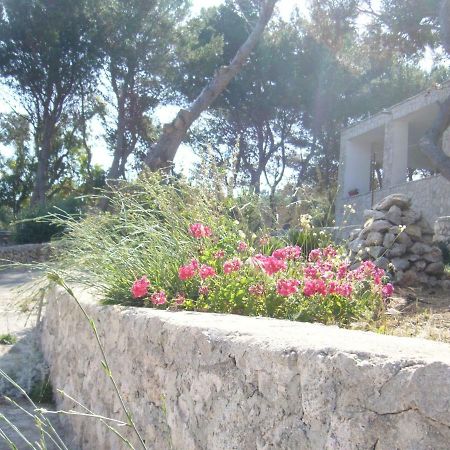 Villa Aquarium Gagliano del Capo Esterno foto