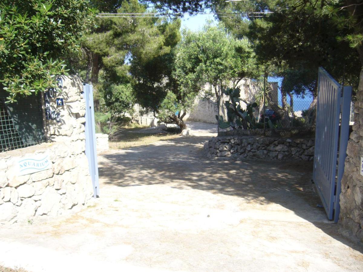 Villa Aquarium Gagliano del Capo Esterno foto